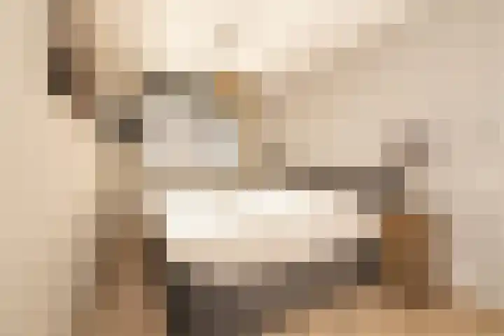 Duinrel 14 Poeldijk thumbnail 22