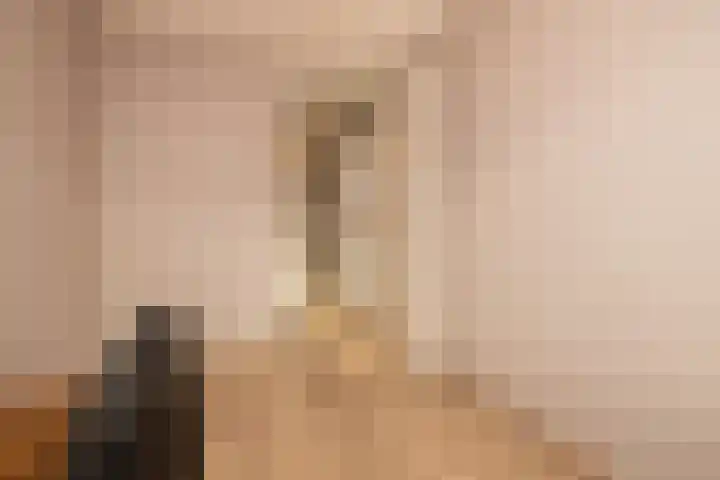 Duinrel 14 Poeldijk thumbnail 30