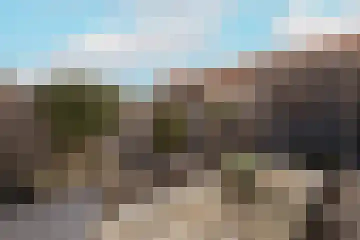 Duinrel 14 Poeldijk thumbnail 40