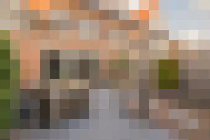 Duinrel 14 Poeldijk thumbnail 42