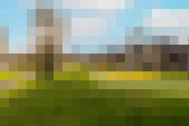 Duinrel 14 Poeldijk thumbnail 43