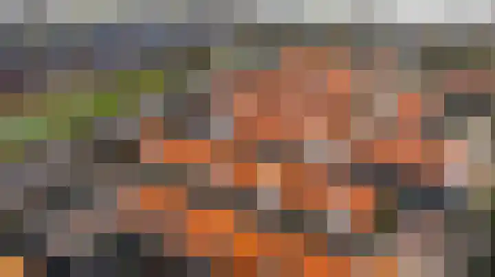 Duinrel 14 Poeldijk thumbnail 5