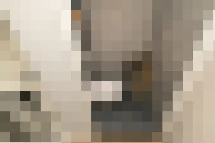 Duinrel 14 Poeldijk thumbnail 7
