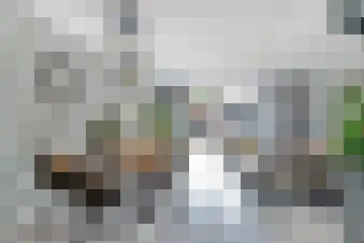 Duinrietstraat 7 Heerhugowaard thumbnail 15