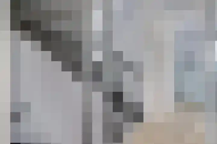 Duinrietstraat 7 Heerhugowaard thumbnail 18