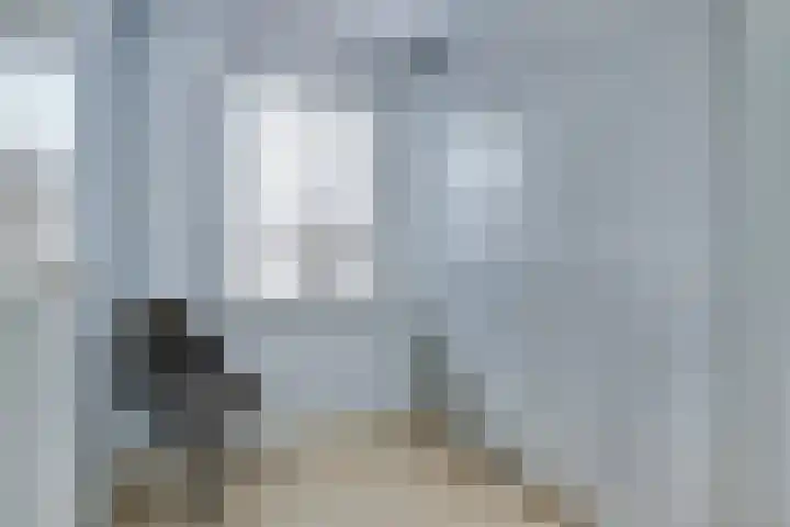 Duinrietstraat 7 Heerhugowaard thumbnail 26