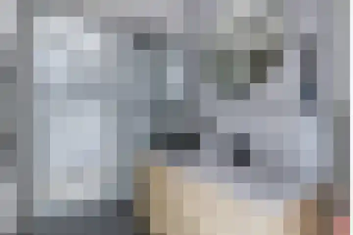 Duinrietstraat 7 Heerhugowaard thumbnail 31