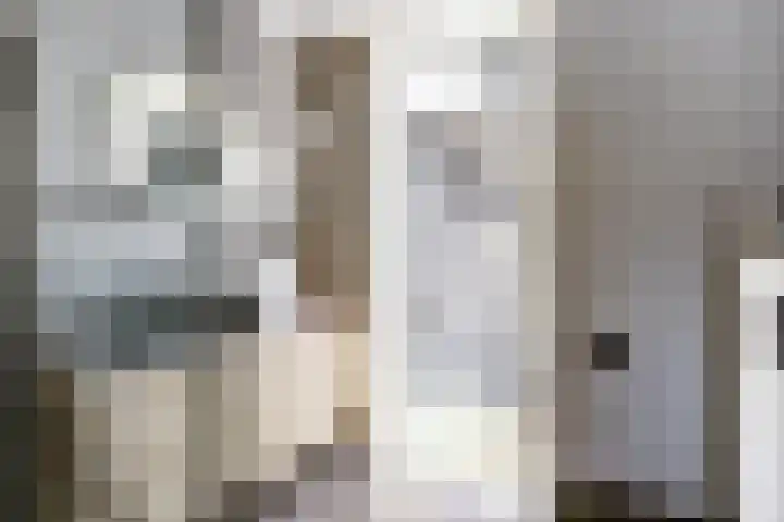 Duinrietstraat 7 Heerhugowaard thumbnail 32