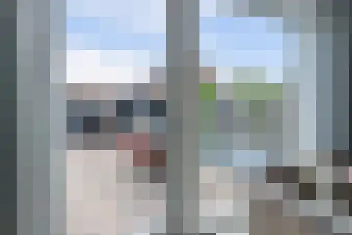 Duinrietstraat 7 Heerhugowaard thumbnail 34