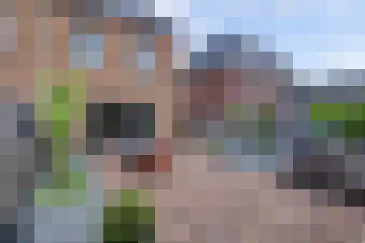 Duinrietstraat 7 Heerhugowaard thumbnail 36
