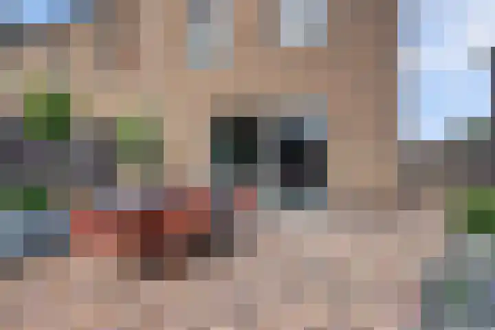 Duinrietstraat 7 Heerhugowaard thumbnail 38