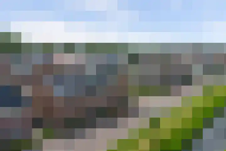 Duinrietstraat 7 Heerhugowaard thumbnail 42