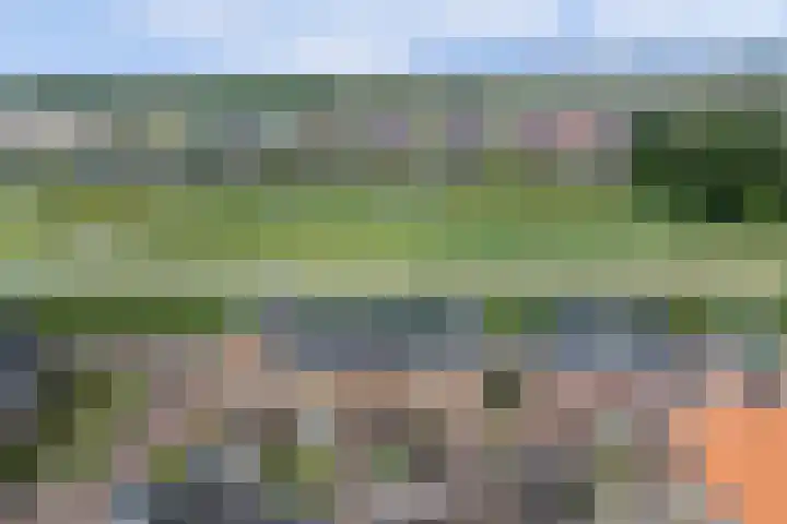 Duinrietstraat 7 Heerhugowaard thumbnail 44