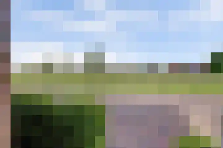 Duinrietstraat 7 Heerhugowaard thumbnail 6