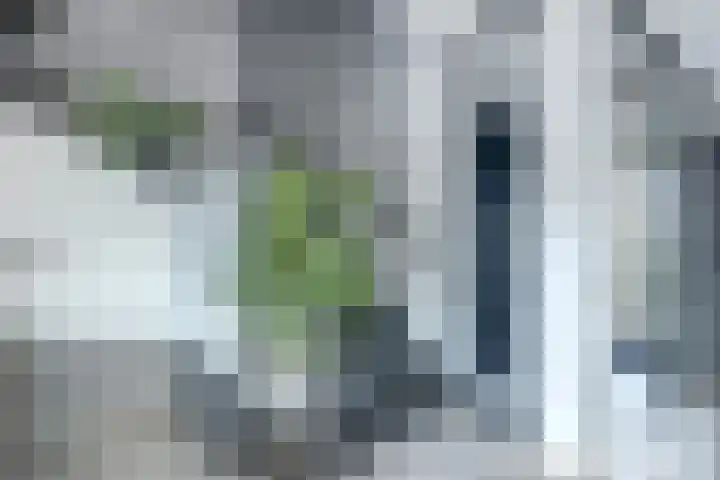 Duinrietstraat 7 Heerhugowaard thumbnail 9