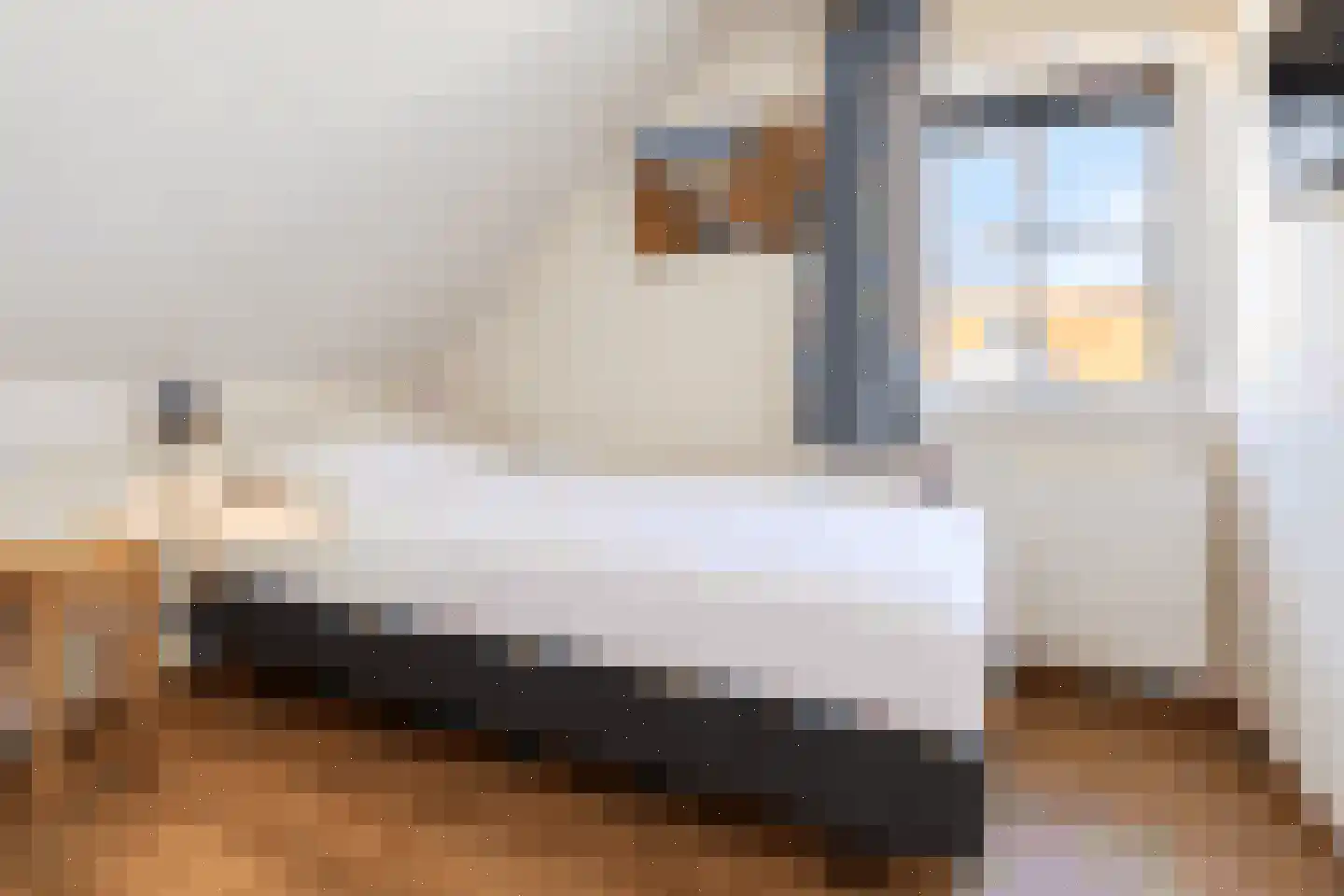 Duinroos 1 Cadzand thumbnail 27