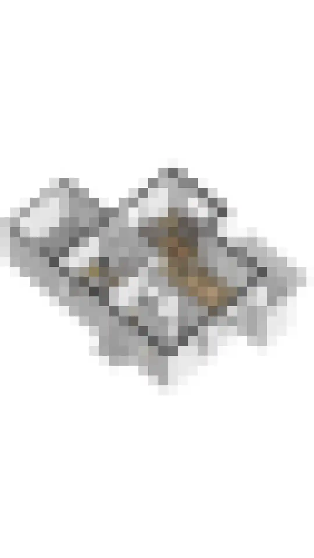 Duinroos 1 Cadzand thumbnail 31