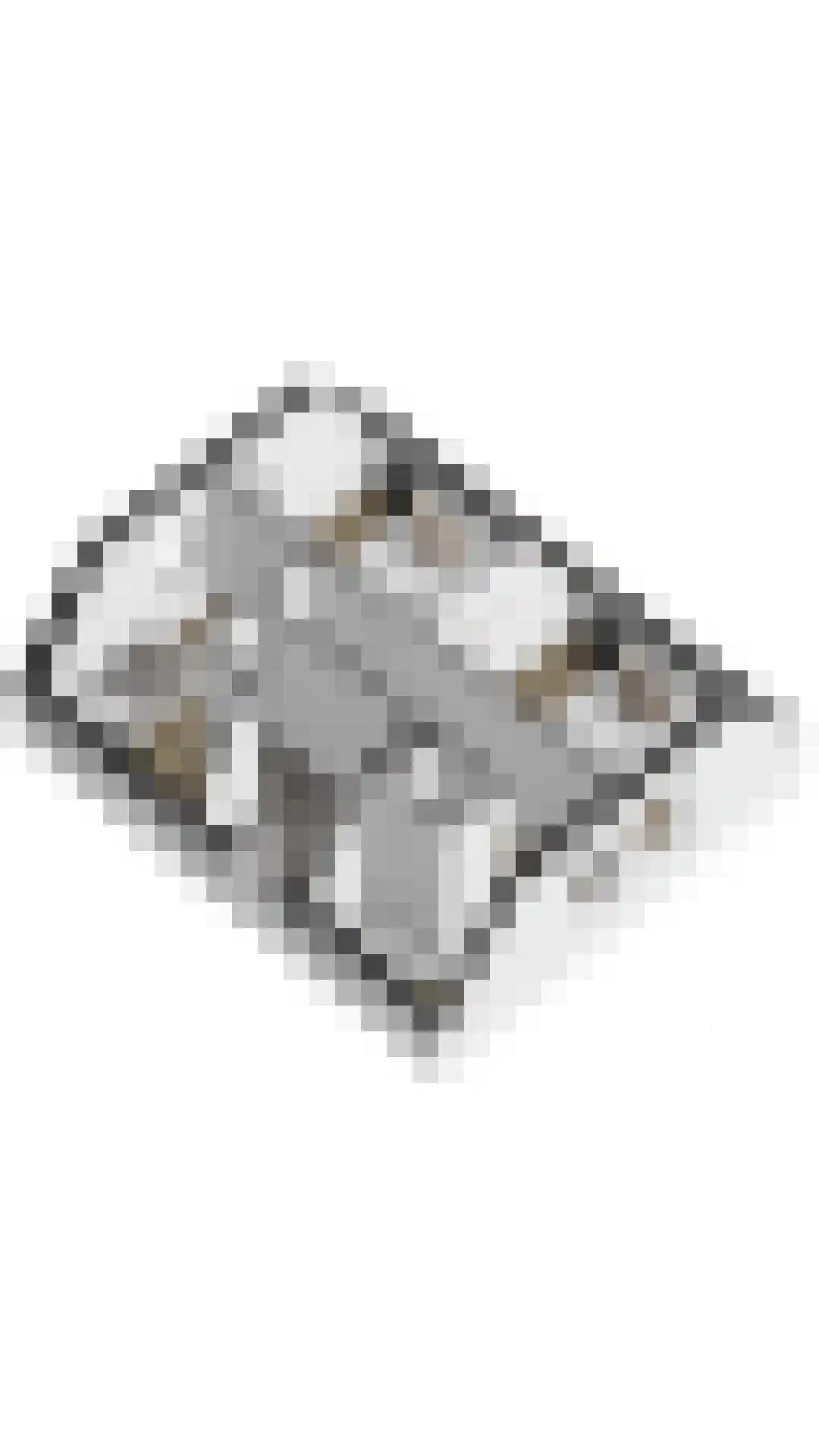 Duinroos 1 Cadzand thumbnail 32