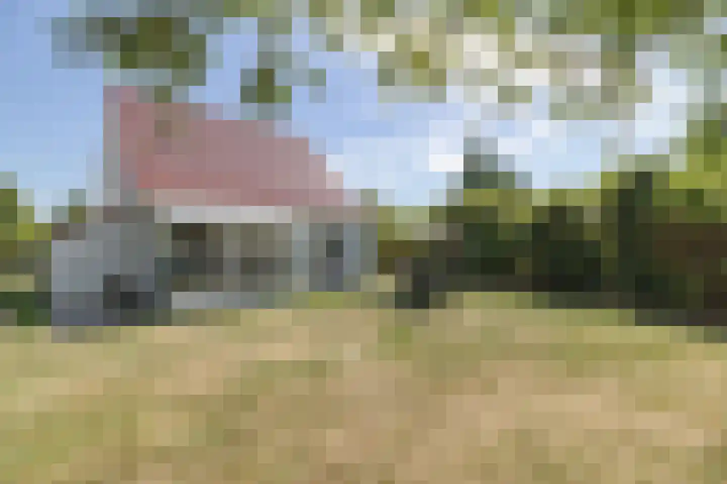 Duinroos 1 Cadzand thumbnail 4