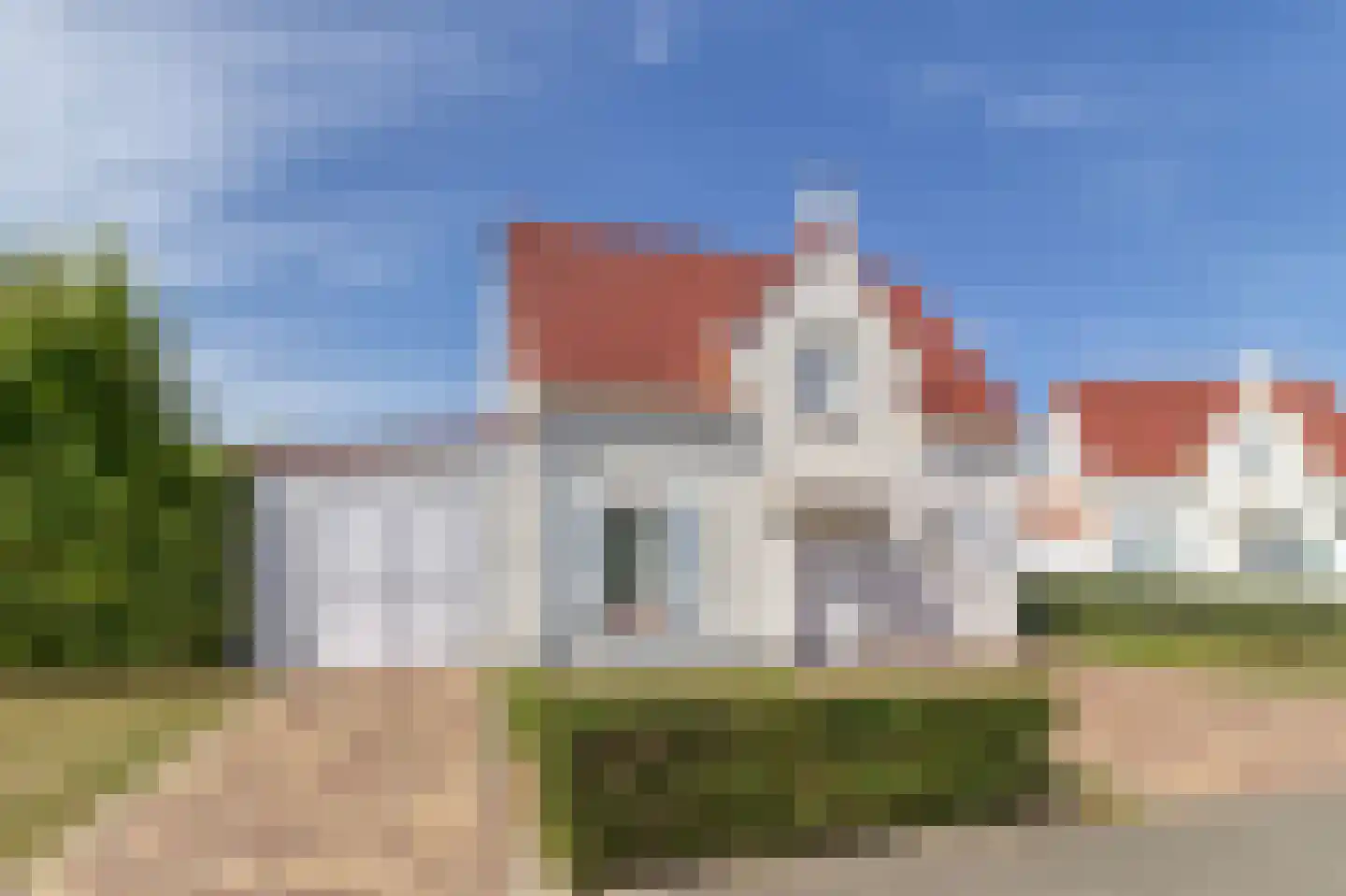 Duinroos 1 Cadzand thumbnail 5