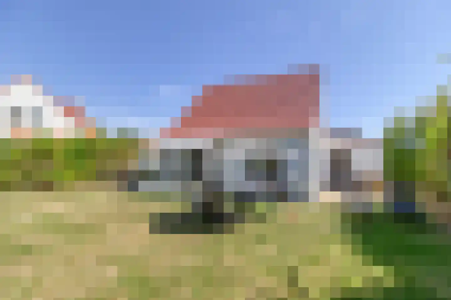 Duinroos 1 Cadzand thumbnail 6