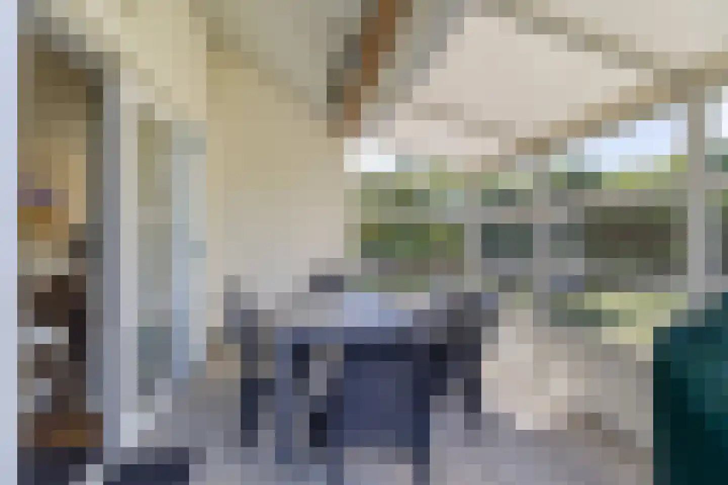 Duinroos 1 Cadzand thumbnail 7