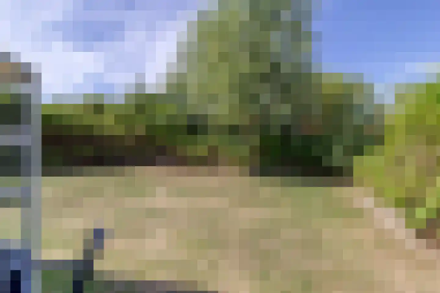 Duinroos 1 Cadzand thumbnail 8
