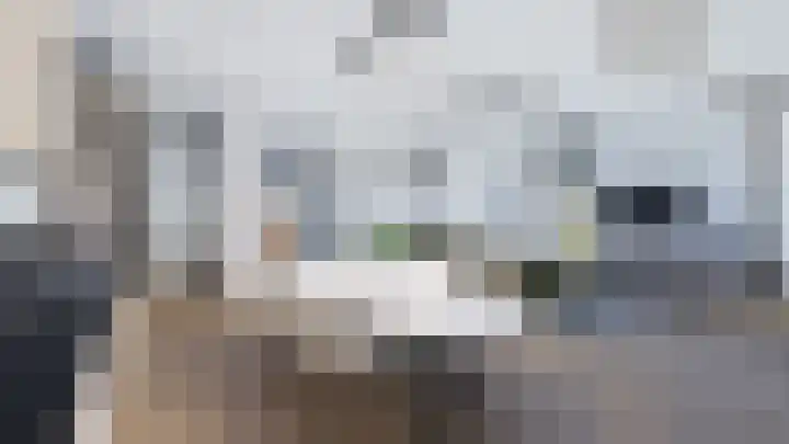 Duinroos 10 Emmeloord thumbnail 4