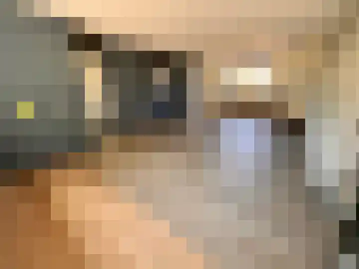 Duinroos 28 Zeewolde thumbnail 11