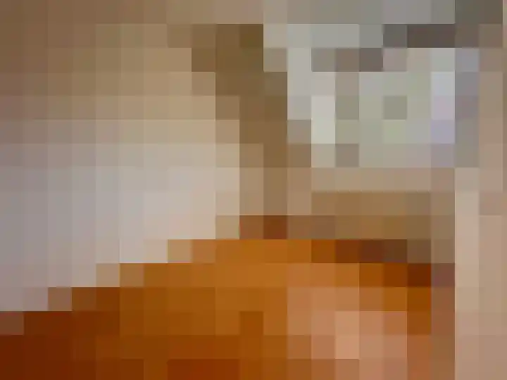 Duinroos 28 Zeewolde thumbnail 20