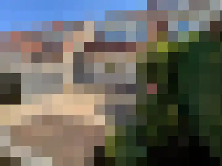 Duinroos 28 Zeewolde thumbnail 31