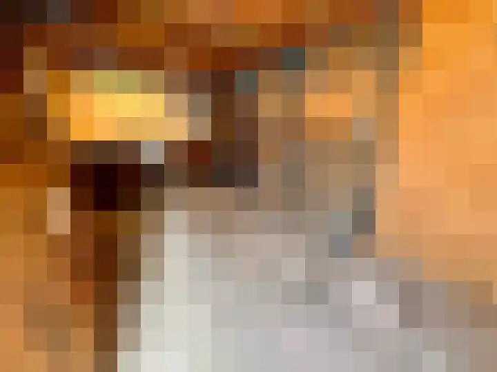 Duinroos 28 Zeewolde thumbnail 38