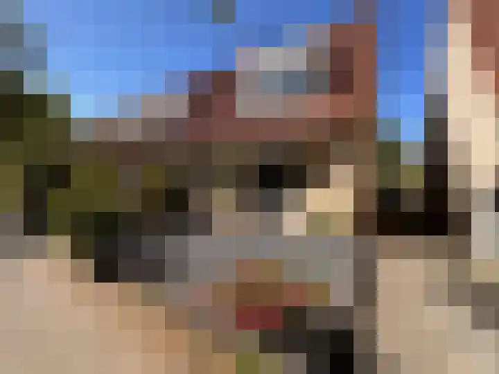 Duinroos 28 Zeewolde thumbnail 48
