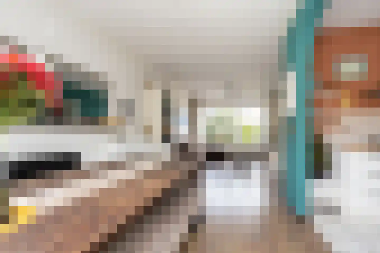 Duinroos 3 Berkel en Rodenrijs thumbnail 13