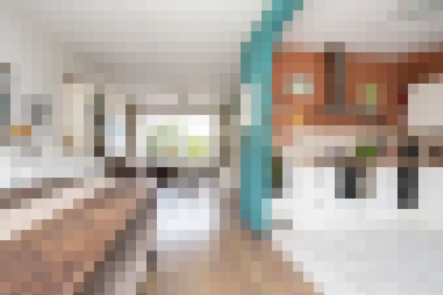 Duinroos 3 Berkel en Rodenrijs thumbnail 14