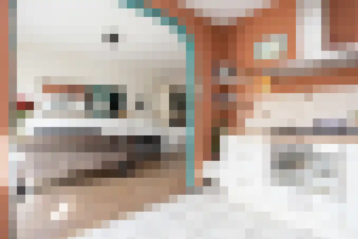 Duinroos 3 Berkel en Rodenrijs thumbnail 15