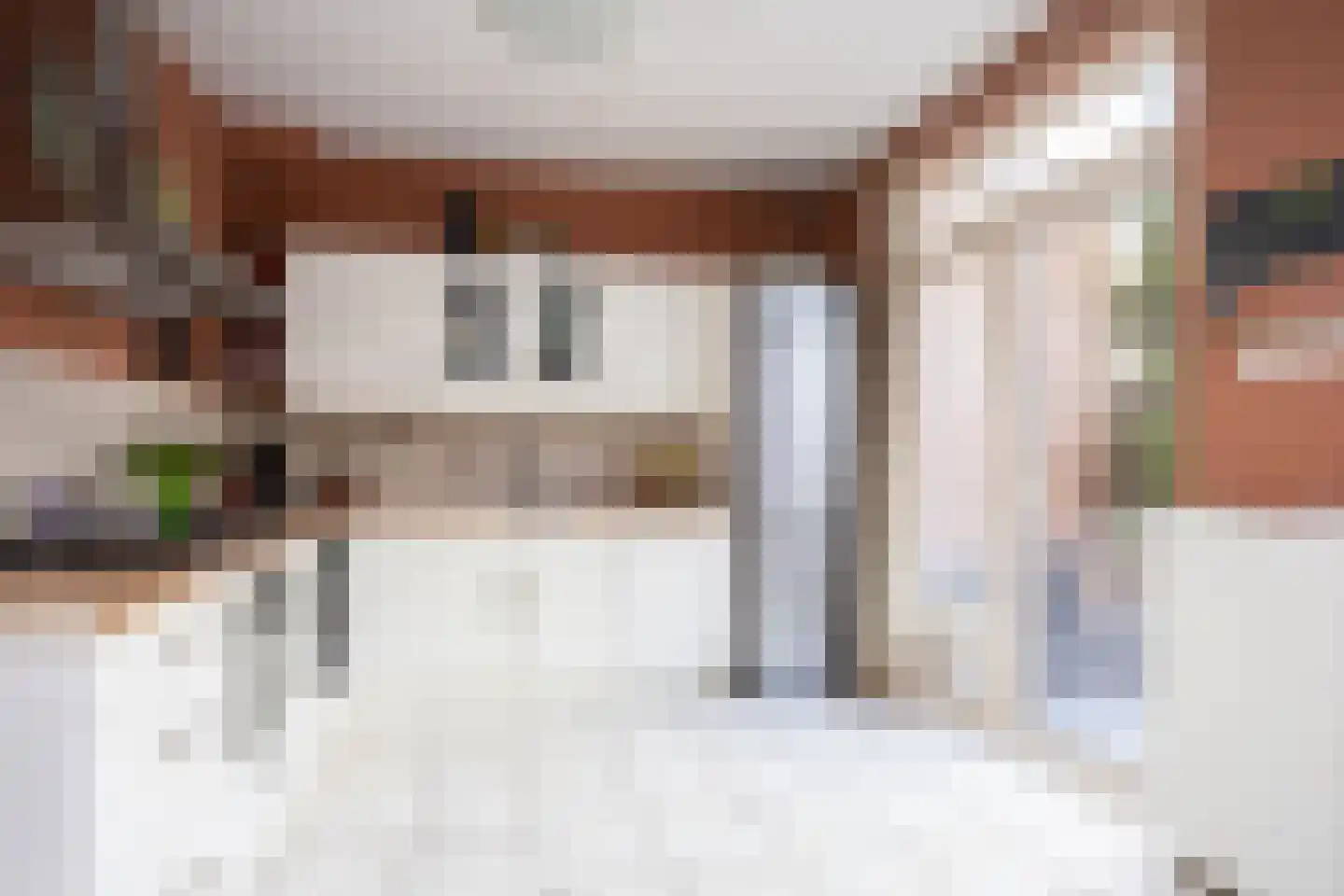 Duinroos 3 Berkel en Rodenrijs thumbnail 17