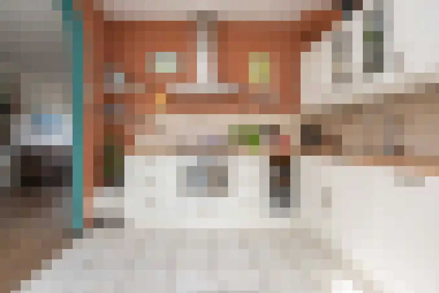 Duinroos 3 Berkel en Rodenrijs thumbnail 18