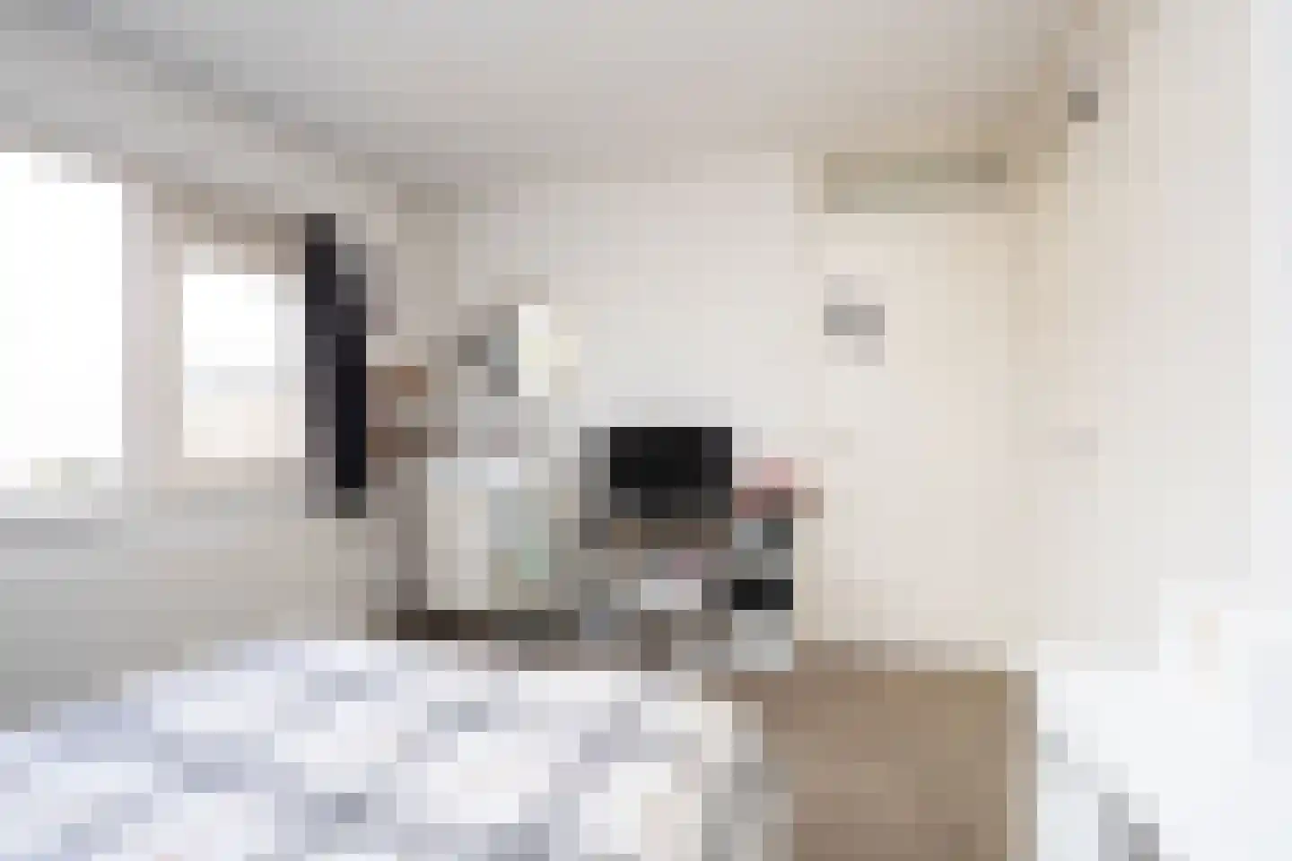 Duinroos 3 Berkel en Rodenrijs thumbnail 22