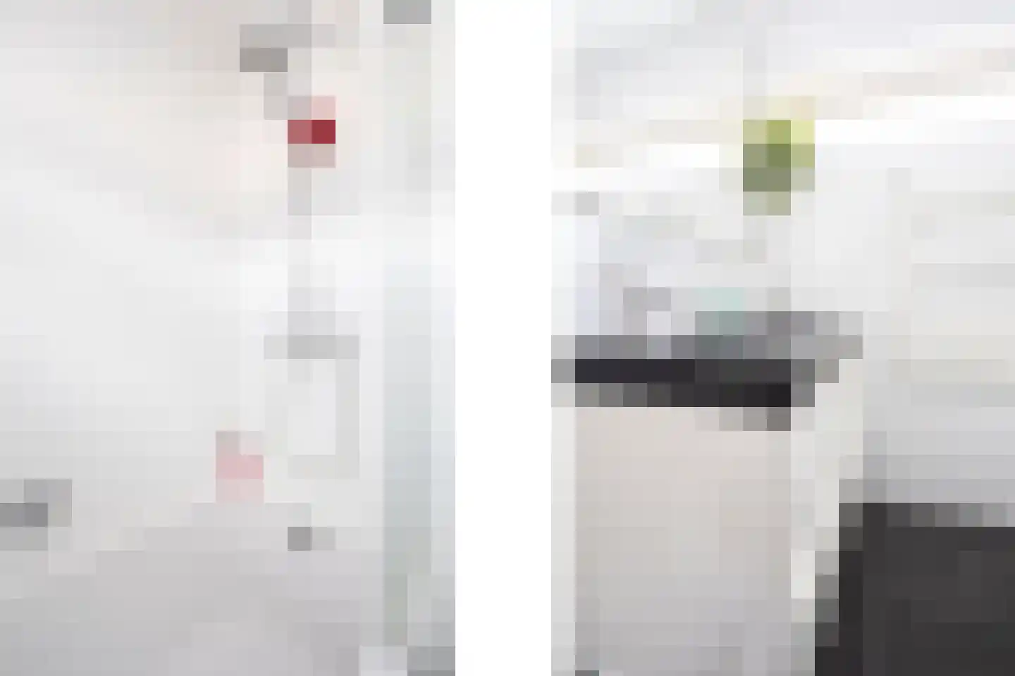Duinroos 3 Berkel en Rodenrijs thumbnail 25