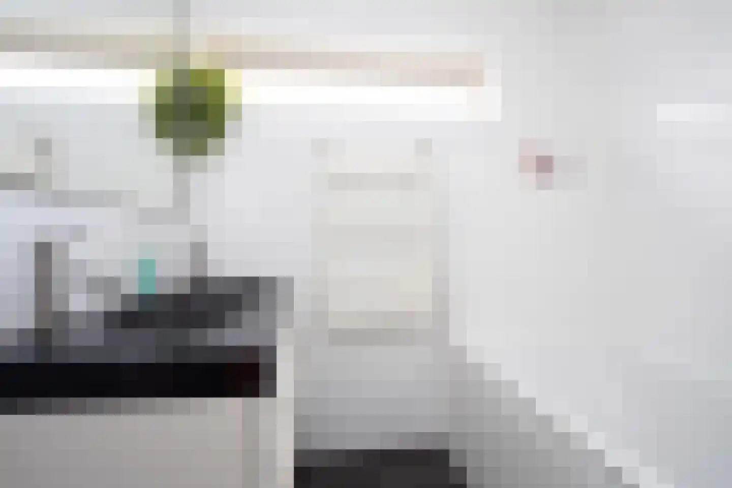 Duinroos 3 Berkel en Rodenrijs thumbnail 26