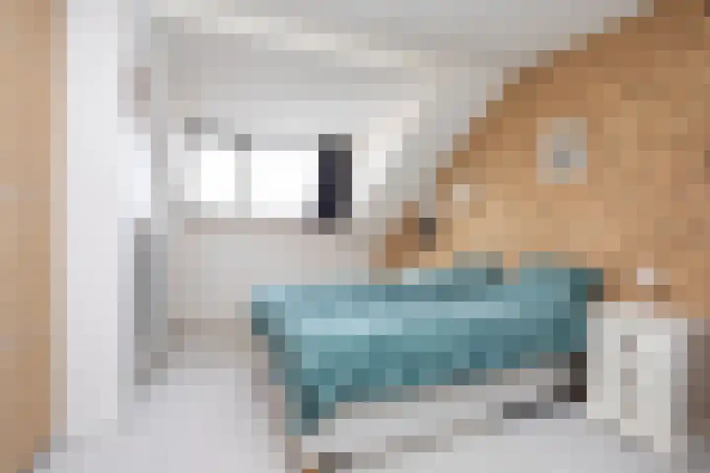 Duinroos 3 Berkel en Rodenrijs thumbnail 29