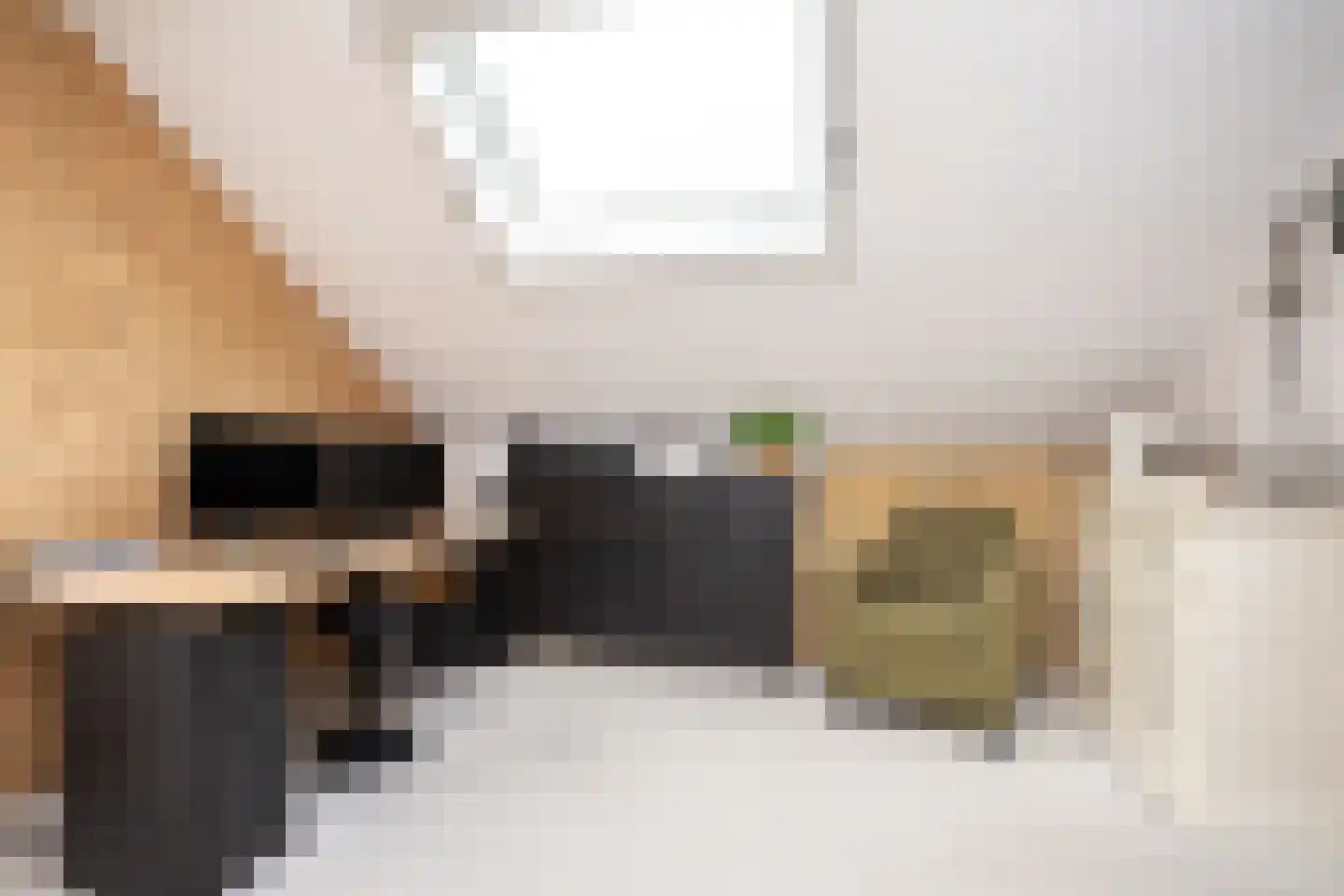 Duinroos 3 Berkel en Rodenrijs thumbnail 30