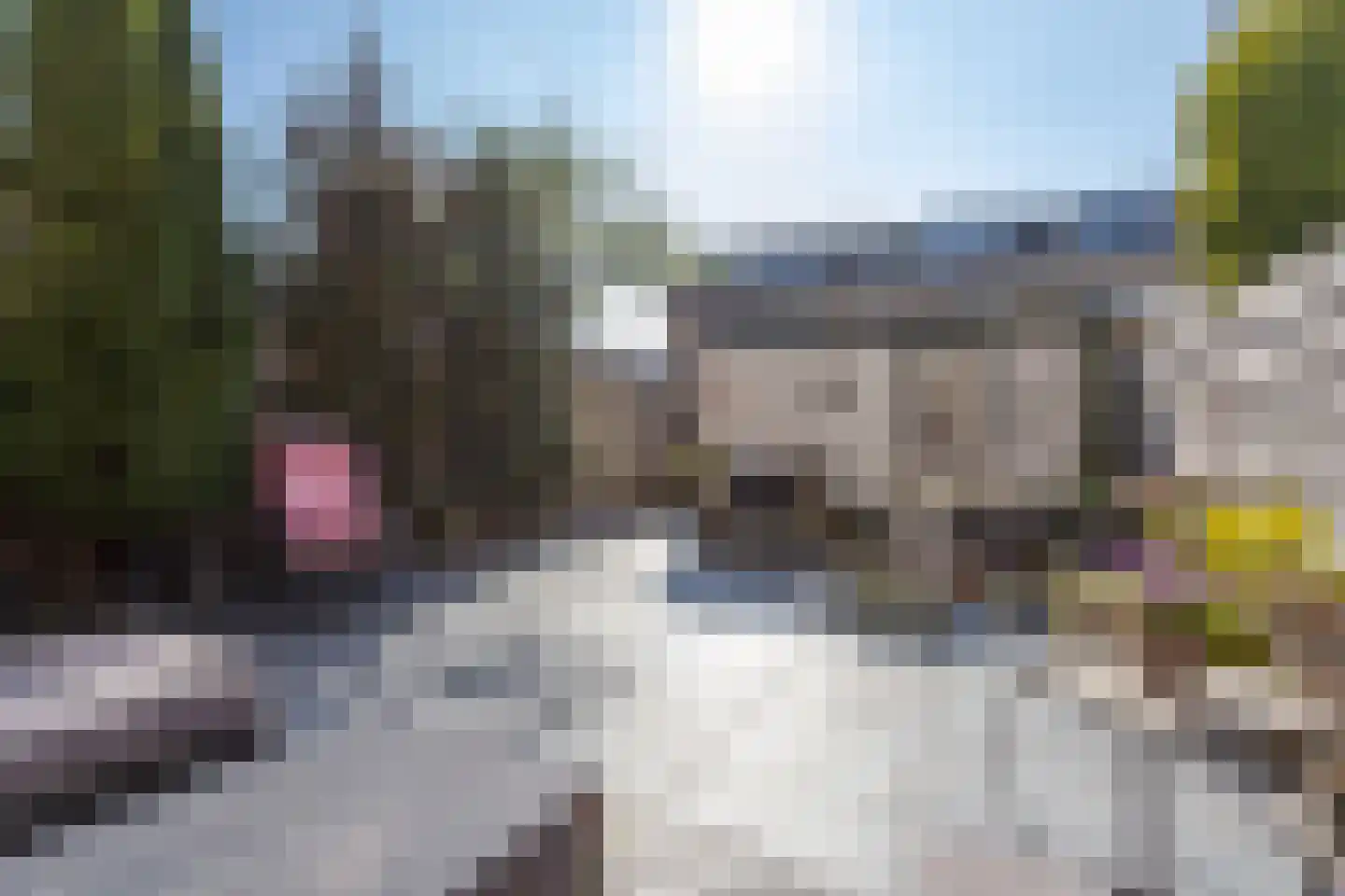 Duinroos 3 Berkel en Rodenrijs thumbnail 32