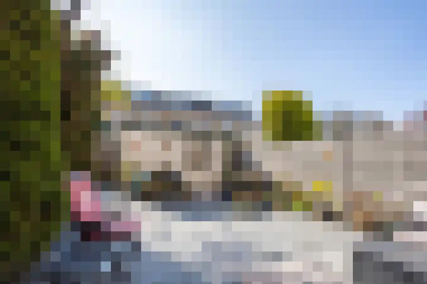 Duinroos 3 Berkel en Rodenrijs thumbnail 33