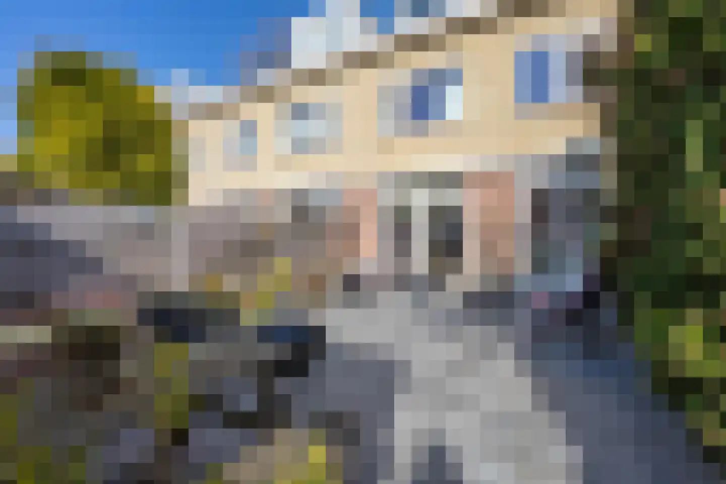 Duinroos 3 Berkel en Rodenrijs thumbnail 34
