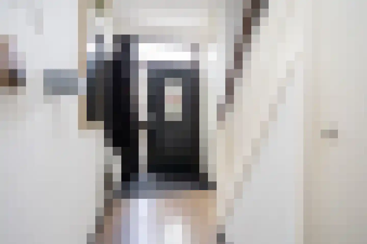 Duinroos 3 Berkel en Rodenrijs thumbnail 4