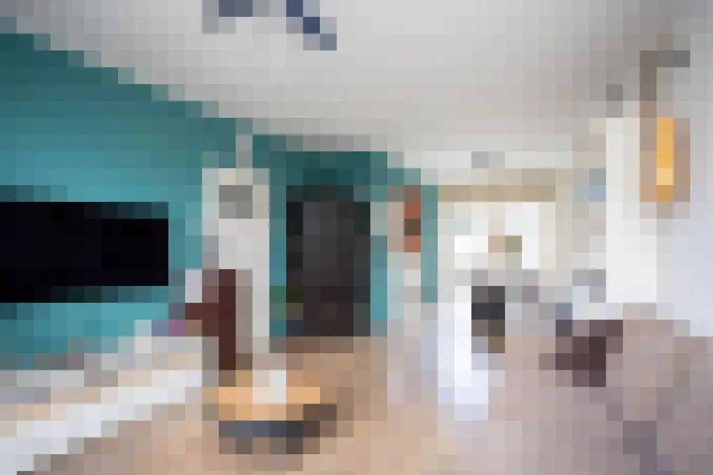Duinroos 3 Berkel en Rodenrijs thumbnail 7