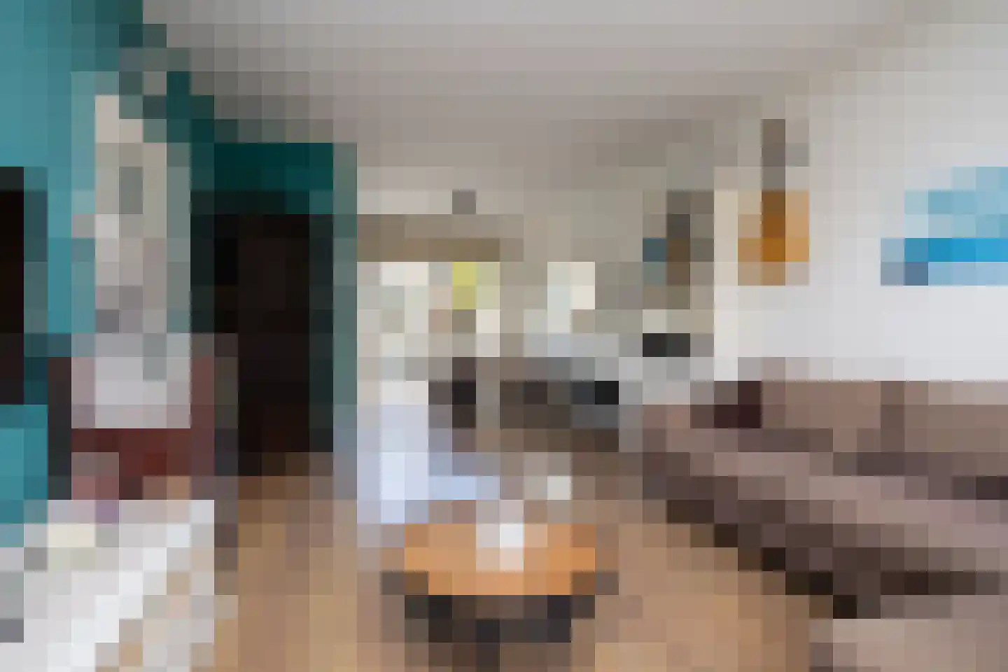 Duinroos 3 Berkel en Rodenrijs thumbnail 8