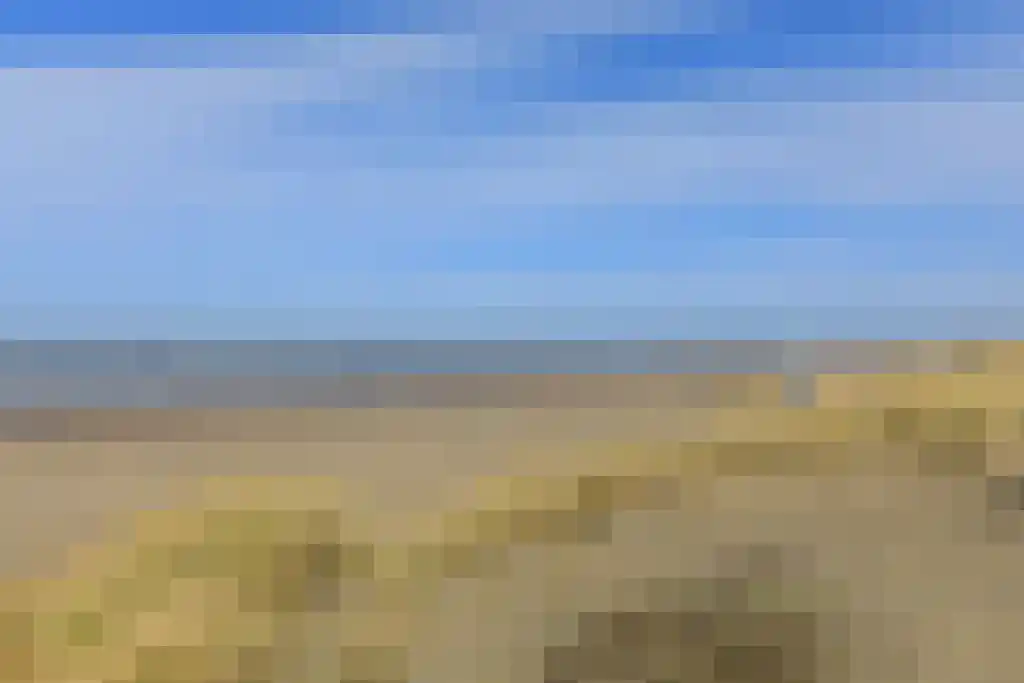 Duinroos 36 Noordwijk thumbnail 29